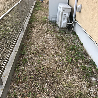 除草前の住宅脇の庭